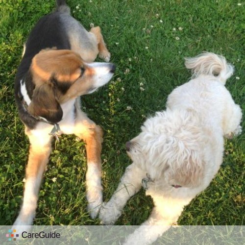 Pet Care Provider Dana R's Profile Picture