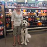 I am a experienced certified animal trainer looking to pet sit for the area of Peoria Illinois