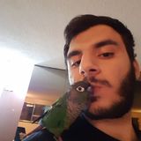 Montreal, Quebec Animal Caregiver