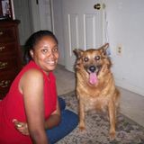 Love Pet Provider Available to Watch Your Fur Babies