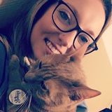 Looking for in-home pet sitter for a 2.5 year old cat