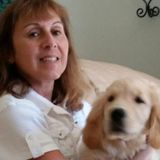 Dog Walker