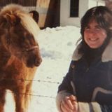 Springfield House Sitter Looking For Work