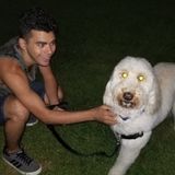 Mount Vernon, New York Animal Lover