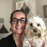 Friendly, dependable, and hard working house sitter.