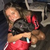 Available For a Pet Sitter Opportunity in Santa Rosa Beach