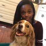 Elkins Park Pet Walker