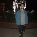 Looking For a Housesitter Job in Tallahassee