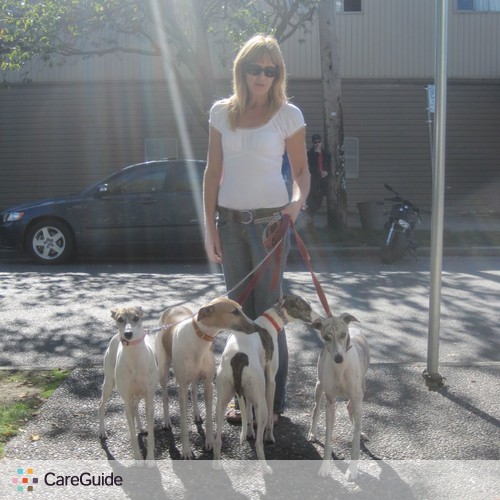 Pet Care Provider Pauline J's Profile Picture