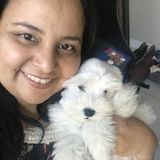 For Hire: Well Trained Pet Sitter in Miami
