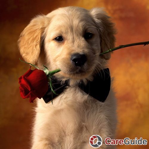 Pet Care Provider Geni C's Profile Picture