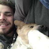 Trustworthy house sitting and animal care