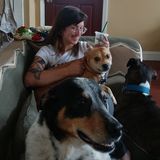 Active, Aliquippa-based Dog lover Ready to Look After Your Furbabies