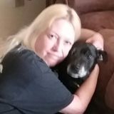 Dog sitter/caregiver available all shifts
