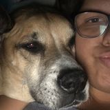 For Hire: Professional Pet Care Provider in Largo, Florida or Pinellas county