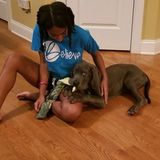 Available: Present Pet Supervisor in Fayetteville, North Carolina