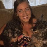 Animal lover, downtown Toronto, ready to care for your pets!