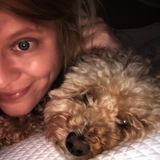 Capable Pet Supervisor Available Immediately