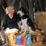 Former vet tech, competition dog trainer!