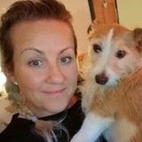 Available For Wimberley House and Pet Sitter Opportunity