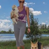 Reliable Dog Walking/Pet Sitting Available Now!