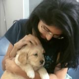 Here to help you take care of your pets