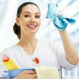 Hallandale Beach Housecleaner Seeking Work in Florida