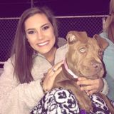 Caring Pet Sitter for Hire