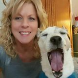 Wilmington Pet Sitter Seeking Work in North Carolina