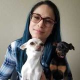 Excellent nanny/teacher with several years of experience working with children. Educational profile.
