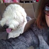 Animal-Lover for Life :) Looking to Dedicate My Time to Being a Full-Time Pet Sitter To Supplement Income!
