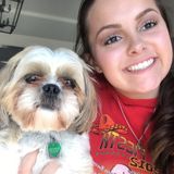 Qualified and Dependable Pet Sitter - Available Immediately!