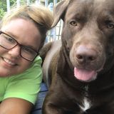 For Hire: Flexible Dog Walker in Pennsville