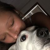 Searching for a Dog Sitter Job in Elk River. I have 2 dogs of my own and have experience with big and small dogs.