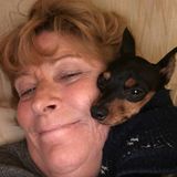 For Hire: Present House Sitting Service Provider and dog loverin Vero Beach