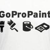 GoProPaint