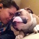 In home pet sitting (yours or mine) by Aunt Becky's Pet Care.
