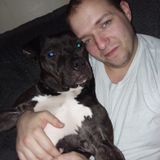 Flexible Dog Sitting Professional in Big Rapids