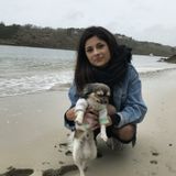 Pet Care Provider in Longueuil, Quebec