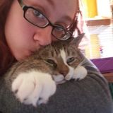 Skilled Pet Service Provider in Finger Lakes, New York