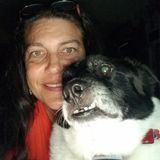 Animal Lover Interested In Being Hired to help care for your pets