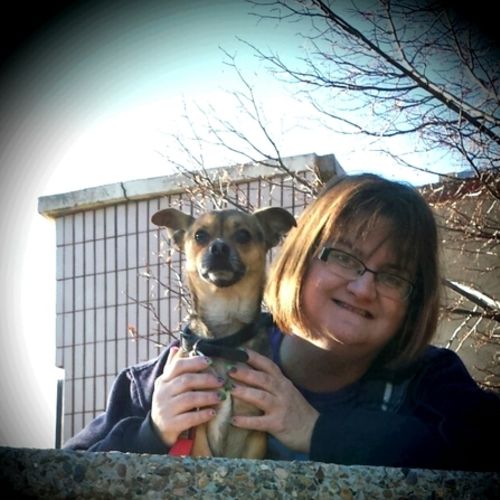 House Sitter Provider Dawna D's Profile Picture