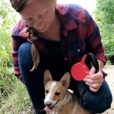 Pet Care Provider