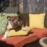 San Diego House Keeper Searching for Work