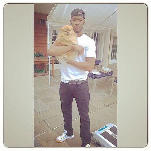 House Sitter Provider Darion H's Profile Picture