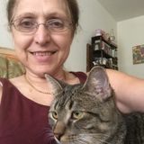 Available: Reliable Pet Supervisor in Danvers, Massachusetts