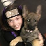 Interviewing For Amarillo Pet Carer, Texas Jobs