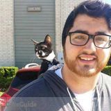 Creative College Writer/Editer Available Immediately for Whatever You Need