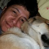 Excellent pet and house sitter! I absolutely love animals and am an honest, friendly and caring person.