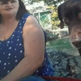 Interested In a Dog Sitter Job in Salem, Massachusetts